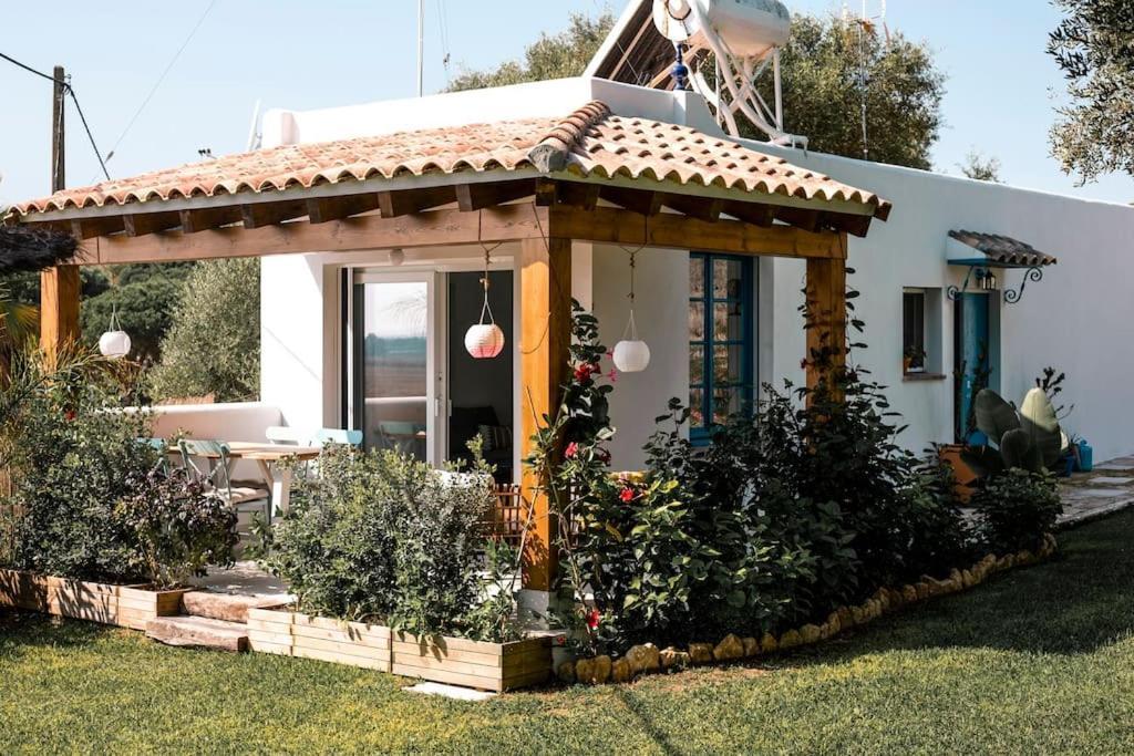 Villa Soul Casas Vejer de la Frontera Exterior foto