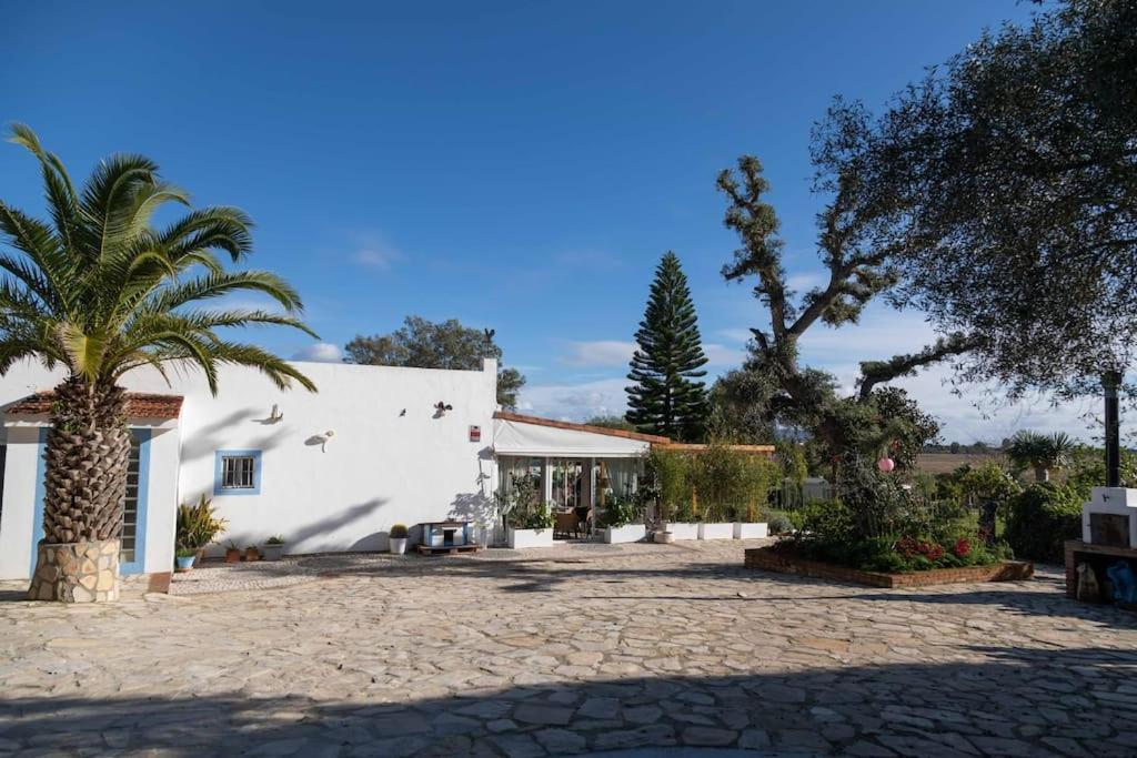 Villa Soul Casas Vejer de la Frontera Exterior foto